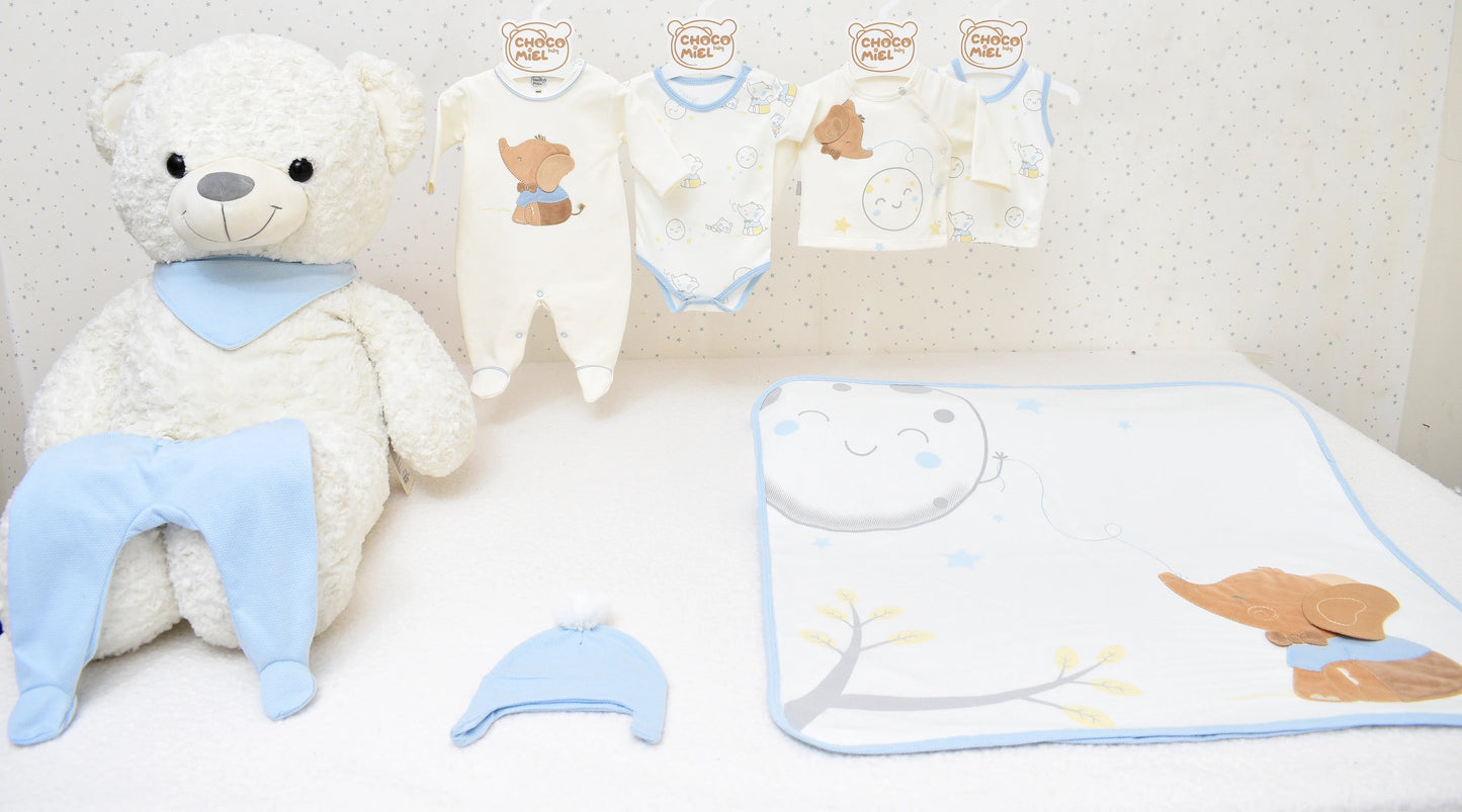 Primer dia elefante luna